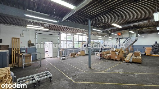 Hala/Magazyn o powierzchni 430m²
