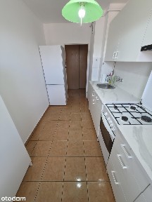 5 lub 6 pokoi, 2 łazienki z WC, 2 poziomy, balkon, schowek, garaż