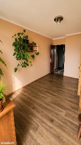 Tychy - 2 pokoje 44,2 m² | balkon | winda | bezpośrednio