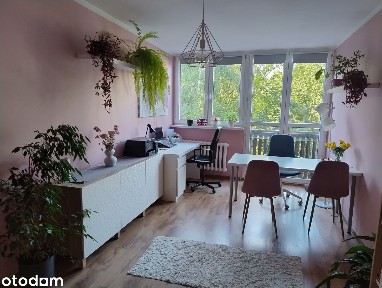 Dwupokojowe mieszkanie na Szczepinie, do zamieszkania lub pod biuro