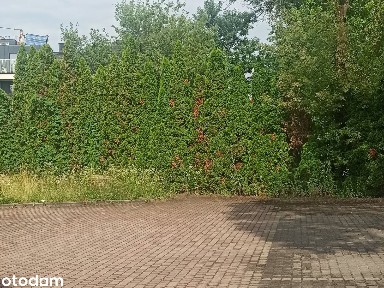 LOKAL biurowo-usługowy z parkingiem