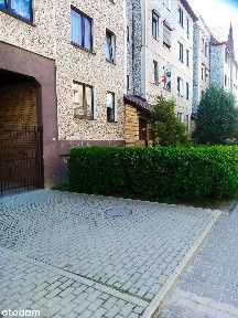 Mieszkanie na wynajem, trzy pokoje, 54m, Sołacz, ul. Sokoła, 2600 zł.