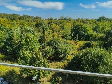 Wynajmę mieszkanie 4 pokoje ok 80mkw Wojkowice Plaka - połączone dwa mieszkania