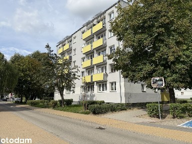 3 pokojowe mieszkanie w cichej i spokojnej części Grunwaldu