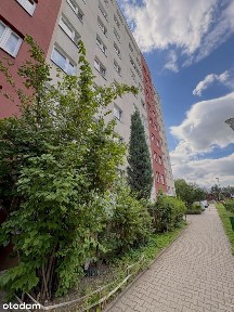 57,10 m2, 3 pokoje, ul. Kłodnicka