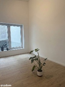 ul. Fryderyka Chopina, Śródmieście, Katowice, śląskie