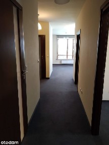 lokal | mieszkanie na parterze z ogródkiem | 74 m2 | bezpośrednio