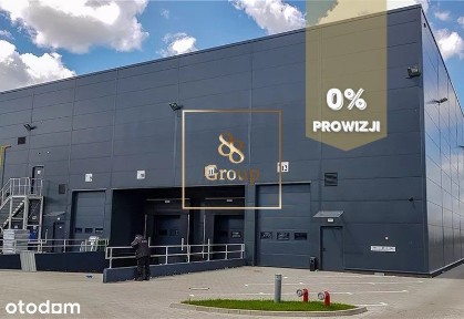 Opacz-Kolonia, Michałowice, pruszkowski, mazowieckie