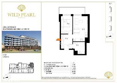Wild Pearl - apartament premium w Kołobrzegu