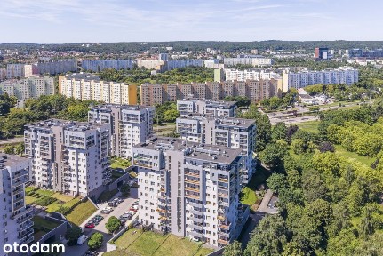 Na wynajem wygodne 50m2, Zaspa, komunikacja