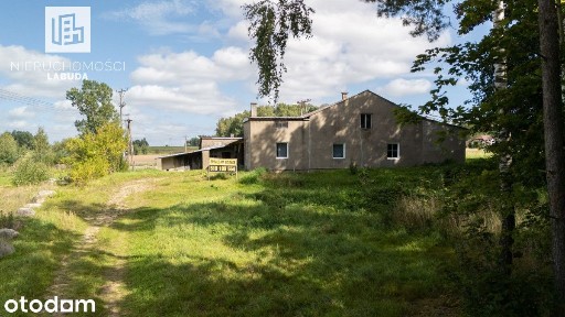Siedlisko w Gowidlinie z prywatnym lasem