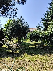 Dom Raciborowice, blisko os. Piastów