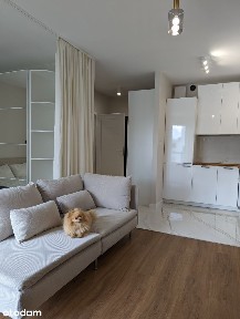 Kamionkowska Fabryka PZO 37m2