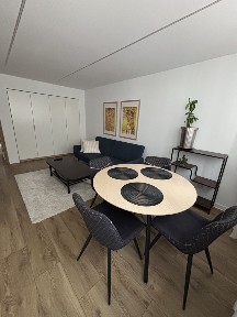 3 pokojowe mieszkanie w centrum, 53 m po remoncie, pierwszy najemca,Lwowska;balkon.