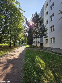 Duże mieszkanie - 3 pokoje z balkonem Łaziska Górne ul. Dworcowa