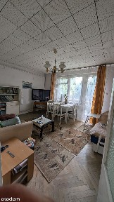 Mieszkanie w zielonej dzielnicy, Centrum