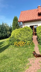 Lubelskie, Krężnica Jara