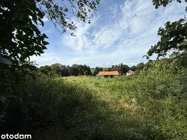Mazurskie siedlisko + 56 arów z opcją dokupienia ziemi!