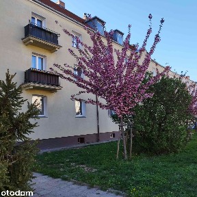3-pokojowe mieszkanie z balkonem na Jeżycach - ul. Długosza
