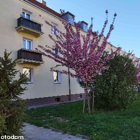 3-pokojowe mieszkanie z balkonem na Jeżycach - ul. Długosza