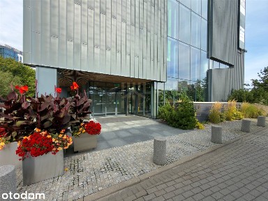 Sportowa, Wzgórze Św. Maksymiliana, Gdynia, pomorskie