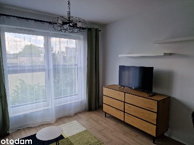 Widok 10B - duże studio