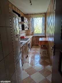 Słoneczne mieszkanie 2-pokojowe z balkonem w ładnej okolicy