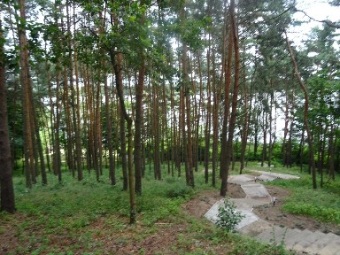 bezpośrednio,cichy, bezpieczny apartament 21 m nad Narwią,w Serocku do wynajęcia