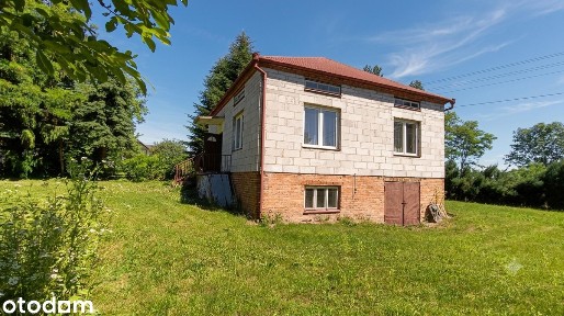 Dąbrowa, Krynice, tomaszowski, lubelskie
