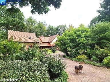 DOM WIELOPOKOLENIOWY | 2 NIEZALEŻNE MIESZKANIA | 235 m²|DZIAŁKA 2364m²