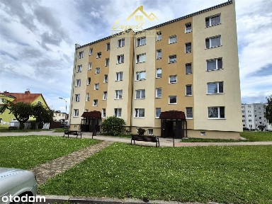 Mieszkanie na sprzedaż, Susz, 1 pokój