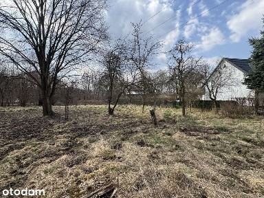 Jeleniów, Lewin Kłodzki, kłodzki, dolnośląskie