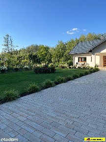 Dom 117 m² wśród lasów, Las Winiarski