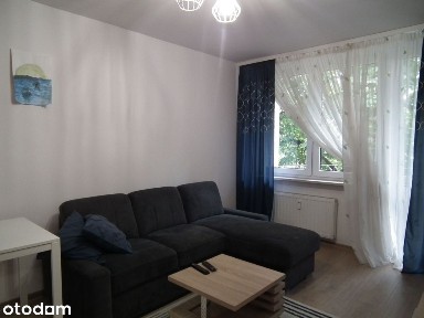2 pokoje z loggią i oddzielną widną kuchnią