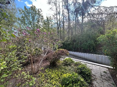 Klimatyczny dom wśród zieleni - duża działka 3493 m²