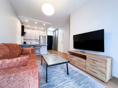 Wynajmę 2 pokojowe nowoczesne mieszkanie 42m2 - CENTRUM, ul. Kustronia