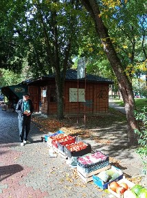 Wolnostojący lokal handlowy 20m do wynajęcia