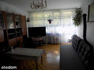 Bajana/2 pokoje/loggia/komórka