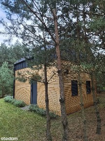 Urokliwy dom drewniany w otoczeniu natury