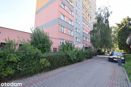 3 pokoje | 60,69 m2 | świetna cena!