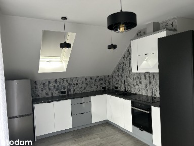 Wynajem mieszkania Leśna - cena z mediami