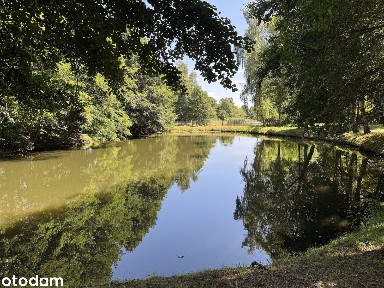 Posiadłość pod Kępnem-2 domy, restauracja, mieszkania, stajnia i stawy
