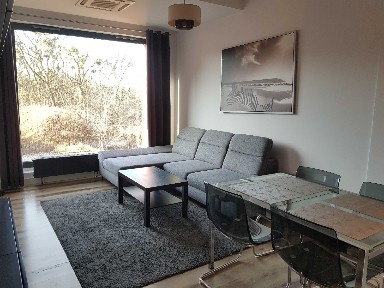 Na wynajem komfortowe 2 pok. Majakowskiego + miejsce postojowe w hali