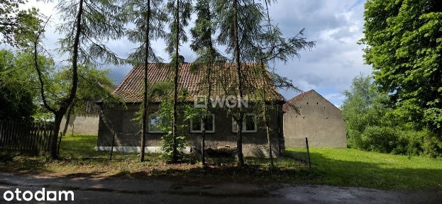 Siedlisko z ziemią rolną o pow. 2,6634 ha, Iwaśki