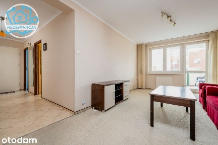 3 pokoje - duży balkon z widokiem na las!