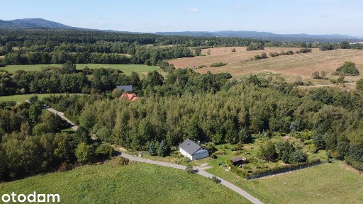 Wyjątkowa nieruchomość z domem i malowniczym ogrodem - 55 arów