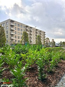 Nowe, wykończone 3 pokoje z balkonem