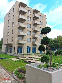 Nowe/2 pokoje/Balkon
