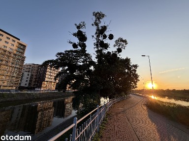 GOTOWE - Możliwe Negocjacje - Loggia - Centrum -Tramwaj /MPK