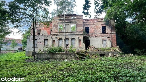 Pałac Z Połowy XIX Wieku Do Rewitalizacji